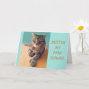 Recherche de paw vœux cartes Humour