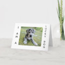 Recherche de anniversaire dannée Amoureux des chiens