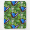 Recherche de morpho tapis souris Papillon bleu morpho