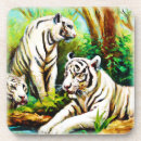 Recherche de tigre blanc dessous de verres Tigres