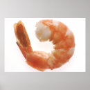 Recherche de shrimp posters Pour tous