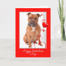 Recherche de staffie vœux cartes Animal de compagnie