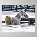Zoek naar wintertijd posters Buiten