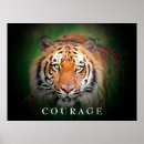 Zoek naar katten afbeeldingen posters For her