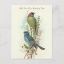Recherche de oiseaux vintages cartes postales Victorien