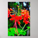 Recherche de fierté impressions sur toile Nature