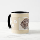 Recherche de roseaux tasses Blanc