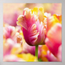 Recherche de parterre posters Jardin
