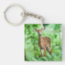 Zoek naar deer accessoires Wild dier