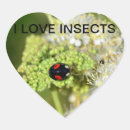 Zoek naar lieveheersbeestje stickers Insecten