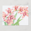 Zoek naar exotisch briefkaarten Groen