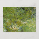 Recherche de herbes cartes postales Jardin