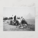 Recherche de le chameau cartes postales Blanc