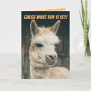 Recherche de chameau vœux cartes Llama