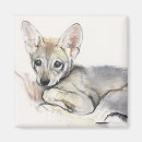 Zoek naar arabische magneten Schattig