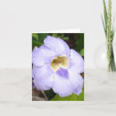 Zoek naar insecten kaarten Paars