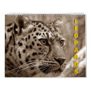 Zoek naar leopard kalenders Dier