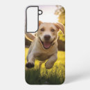 Recherche de samsung galaxy s22 plus coques Dog
