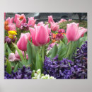 Recherche de tulipe rose posters Printemps