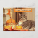 Recherche de thanksgiving drôle vœux cartes Chat