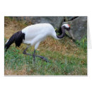 Recherche de grues de papier vœux cartes Japonais