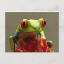 Recherche de oeil vert cartes postales Nature