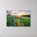 Zoek naar texas bluebonnet kunst Landelijke scène