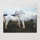 Recherche de percherons cartes postales Chevaux