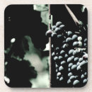 Recherche de raisin de cuve Fruit