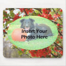 Recherche de cadre photo tapis souris Animal