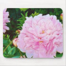 Recherche de pivoines tapis souris Fleurs roses