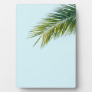 Recherche de palmier plaques Tropical