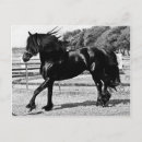 Recherche de amant de cheval cartes postales Animaux