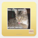 Recherche de opinion autocollants Je peux avoir cheezburger