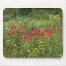 Recherche de multi région électronique Floral