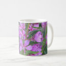 Recherche de fireweed Fleur sauvage