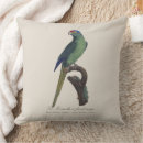 Recherche de perruque coussins Perruche