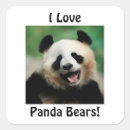 Recherche de panda drôle autocollants Ours de panda