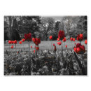 Recherche de rouge blanc noir posters Pour lui