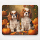 Recherche de cavalier king charles spaniel tapis souris Chiot
