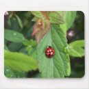 Recherche de coccinelle rouge tapis souris Noir