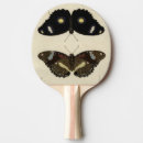 Recherche de arrière plan raquettes ping pong Insecte