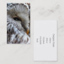 Recherche de hibou mignon cartes visite Faune