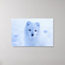 Recherche de arctique art Blanc