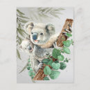 Recherche de koala cartes postales Mère et bébé