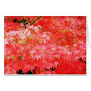 Recherche de kyoto cartes postales Érable