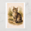 Recherche de chat tigré cartes postales Dessin