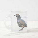 Recherche de cailles tasses Oiseau