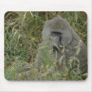Recherche de babouin tapis souris Nature