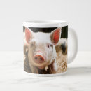 Recherche de piglet tasses Porcelet